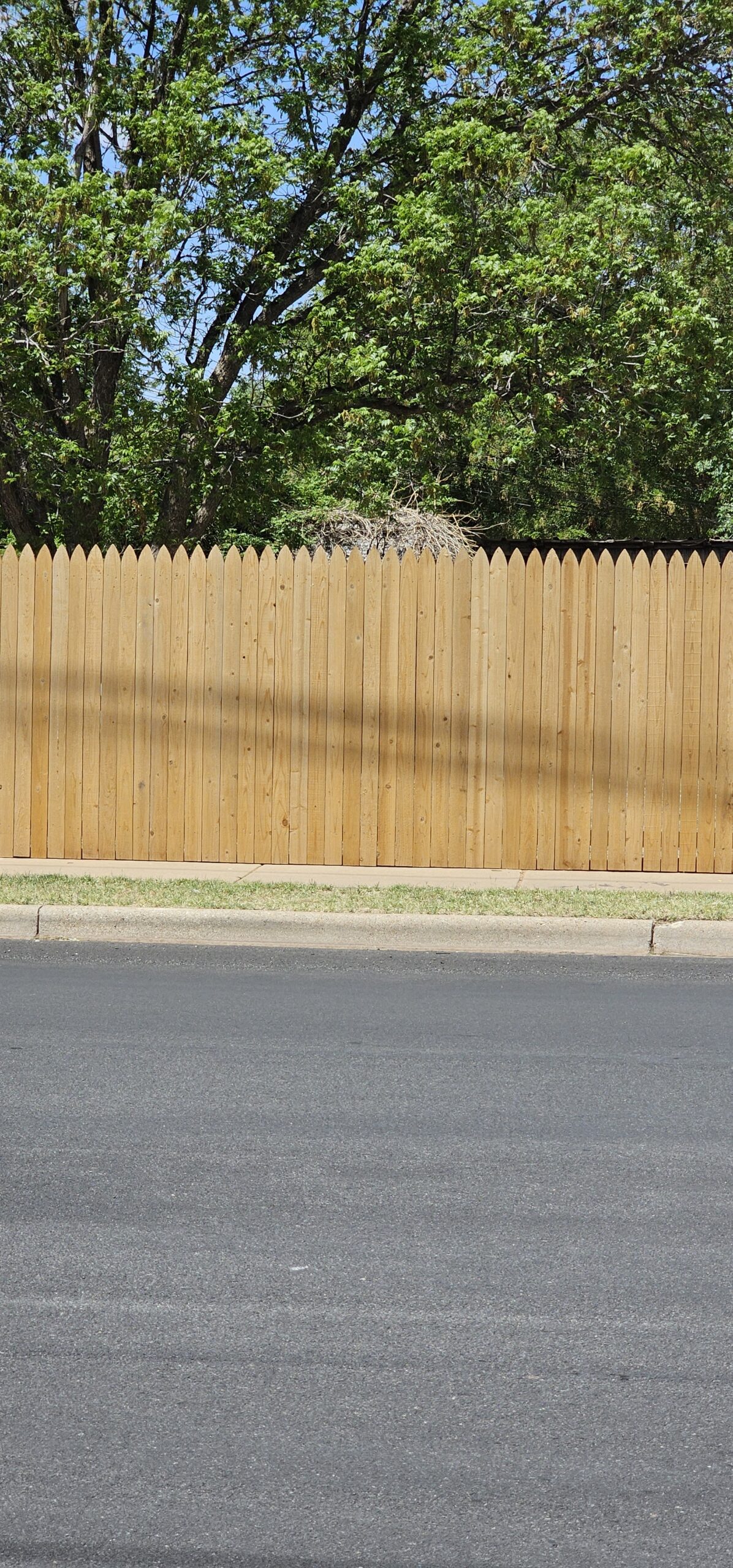 Privacy Fencing Lubbock TX